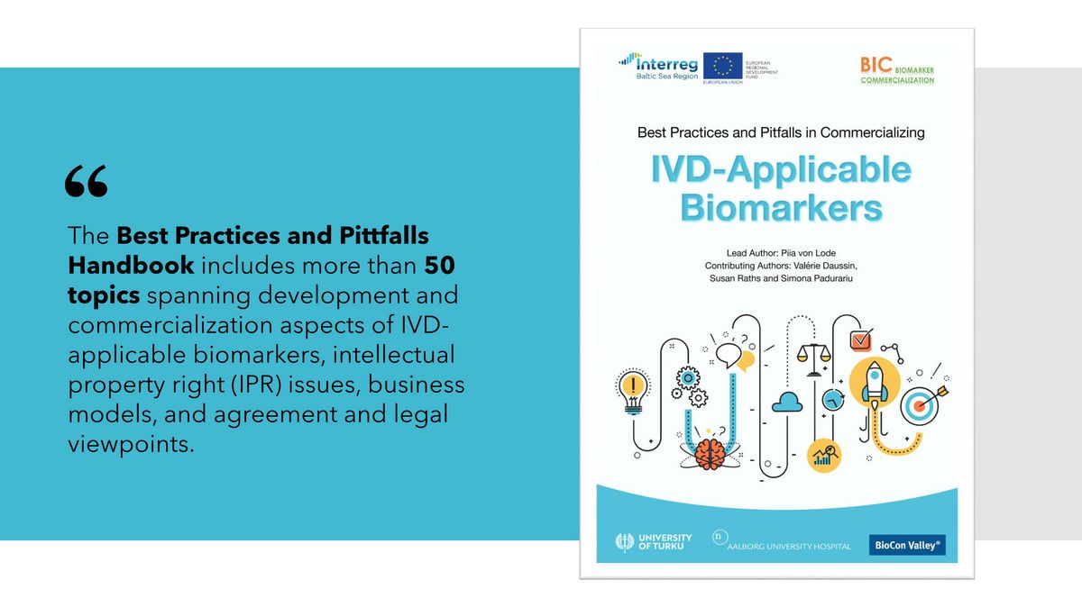 BIC Best Practice Handbook is online!