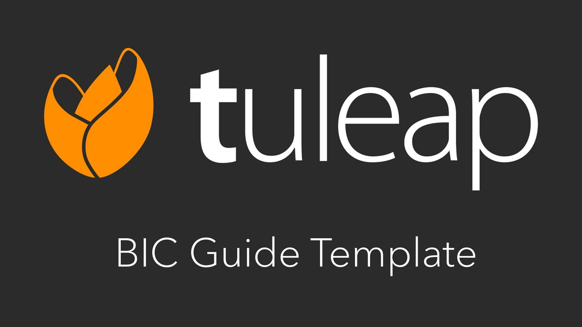 BIC GUIDE PROJECT MANAGEMENT TEMPLATE